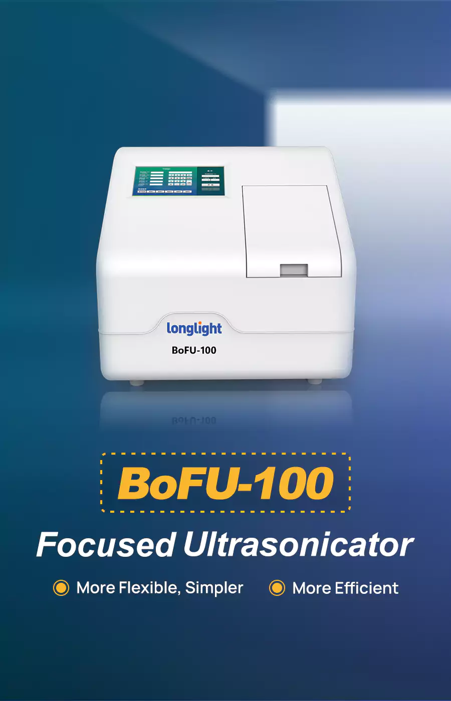 Focused Ultrasonicator