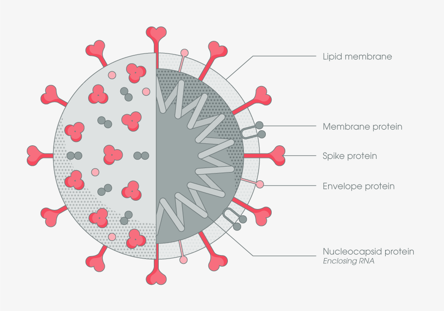 Cryo-EM