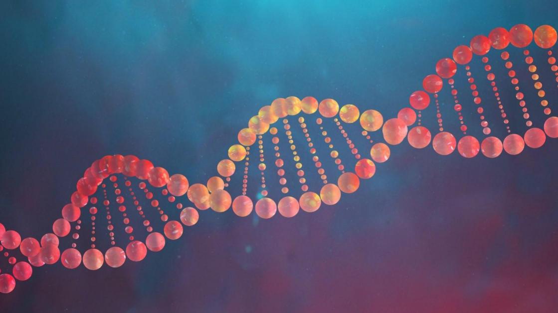 Sistem Ultrasonik Ricih DNA