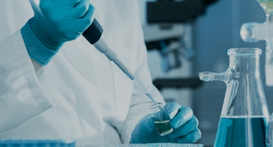 Gel elektroforesis agarose pra-berwarna