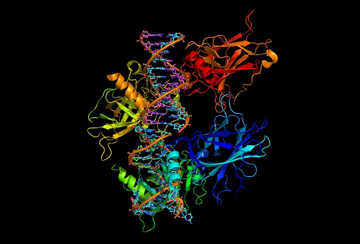 Peralatan Pengimejan Analisis Protein