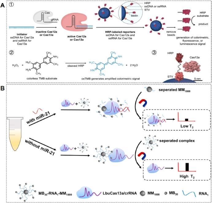 Sistem Pemisahan Magnetik