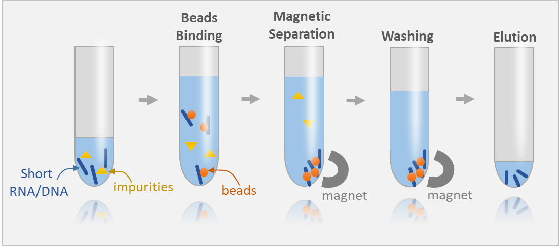 Rak Magnet untuk Pengasingan RNA