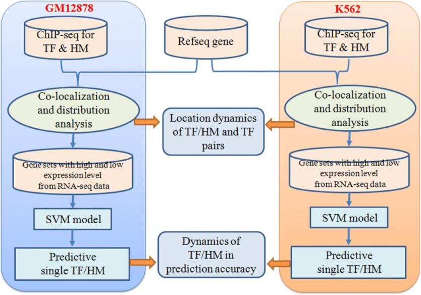 Perkhidmatan Penjujukan Cip