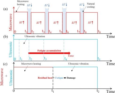 Pengganggu Sel Ultrasonik Tertumpu