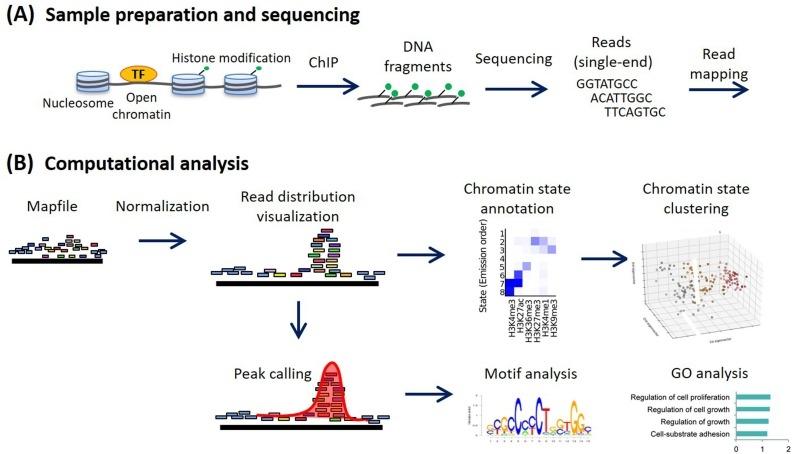 Penyelesaian masalah ChIP-Seq