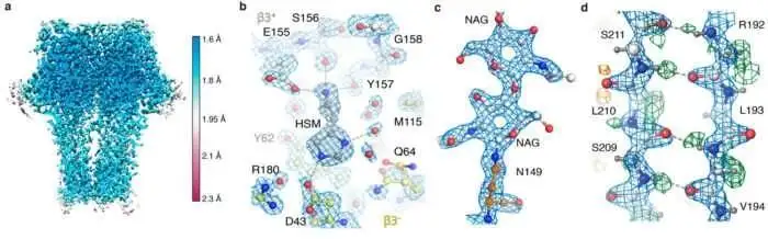 Cryo-Em Resolusi Tinggi