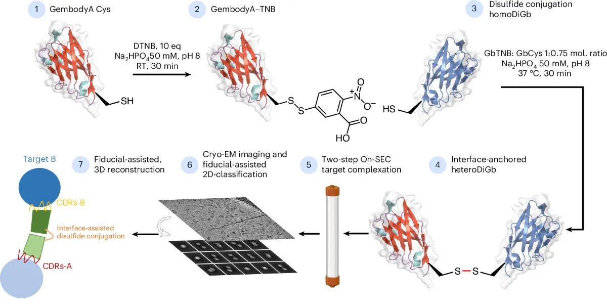 Cryo-EM Resolusi Tinggi