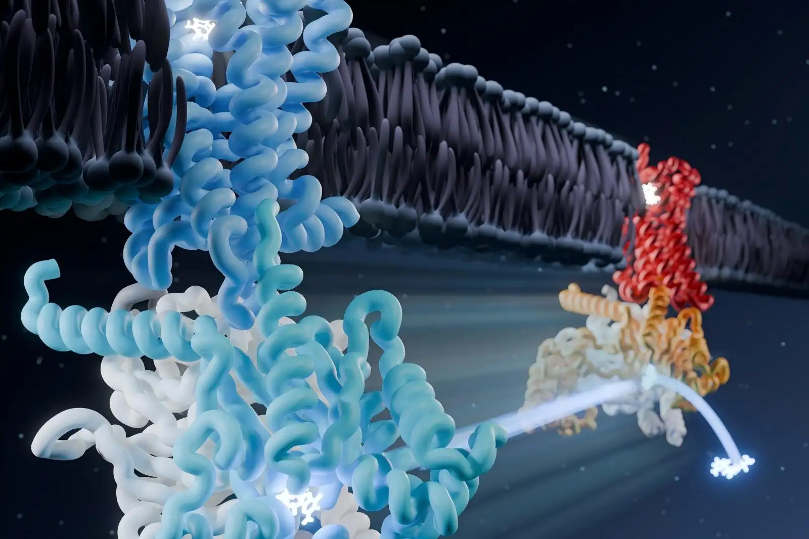 Peranti Tenaga Bunyi Ultrasonik Makmal Gel pracetak super pantas untuk elektroforesis gel Peranti pemisahan sel magnetik Pemecahan DNA elektroforesis pemisahan magnetik untuk biologi molekul Platform pengimejan gel RNA Peranti pemisahan sel magnetik Ekspresi dan penulenan protein membran GPCR Pemulung Asid Nukleik
